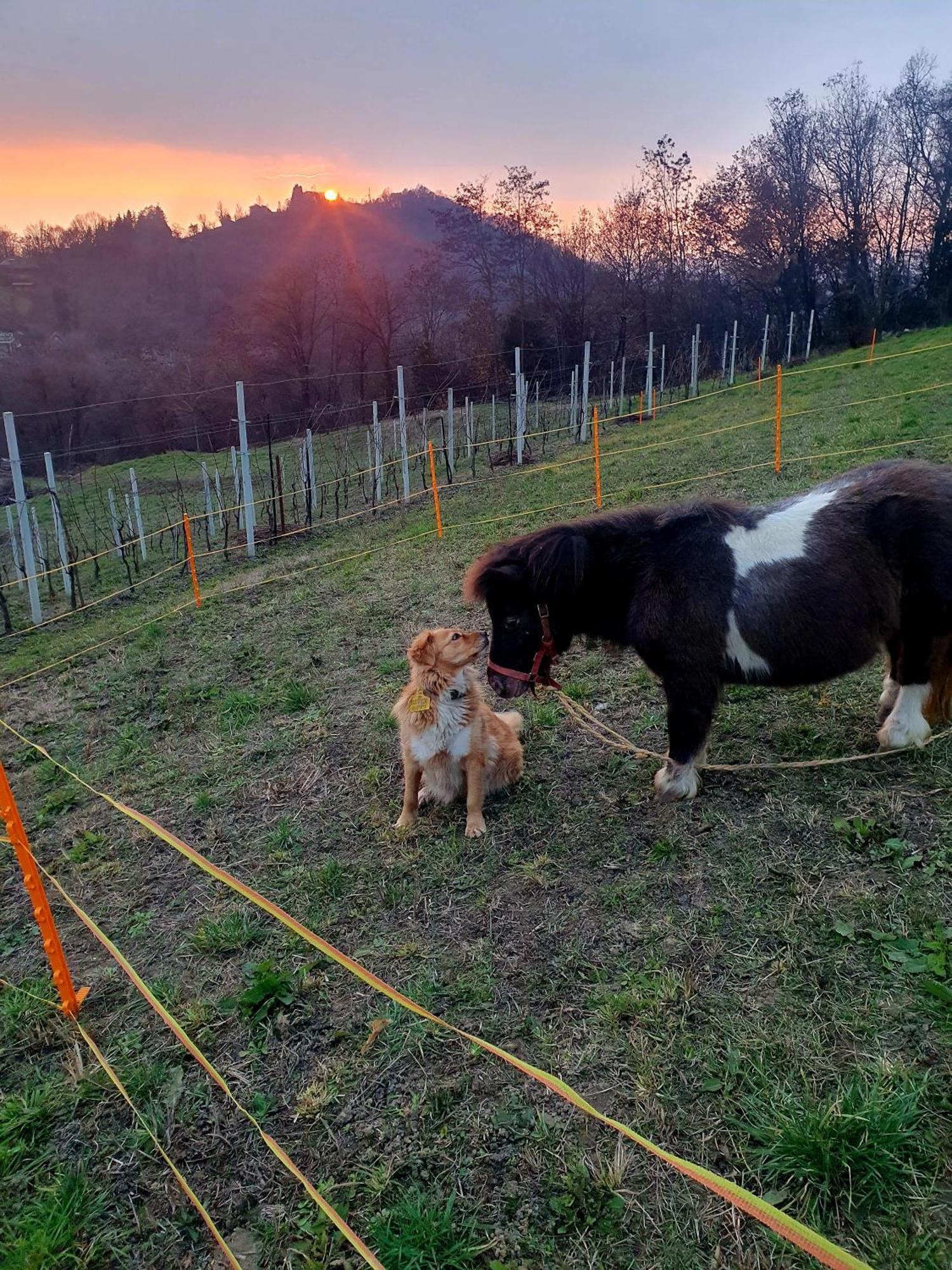 Agriturismo Marco Bergamo Eksteriør bilde