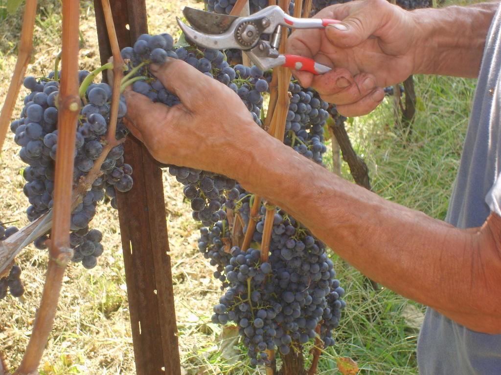 Agriturismo Marco Bergamo Eksteriør bilde